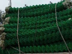 三.功能网系列.塑料乙烯窗纱